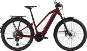 BiXS Access EX GOR